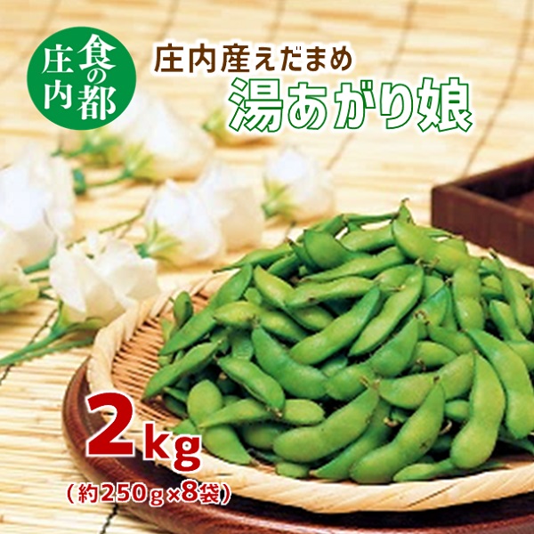 食の都庄内　庄内産えだまめ「湯あがり娘」2kg（250g×8袋）※7月下旬頃より配送予定 [HS1-021(庄内たがわ農協)]