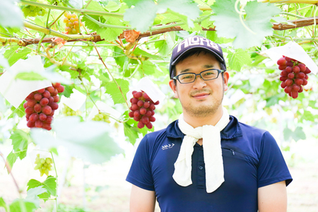 《 先行予約 数量限定 》 【 令和7年産 】 スチューベン 2kg 5 ～ 6房 ぶどう 〔 9月下旬 ～ 10月下旬頃お届け 〕 2025年産 農家直送 産地直送