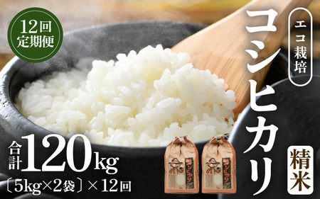 【先行予約】【令和8年産 新米】《定期便12回》エコ栽培コシヒカリ 白米10kg（5kg×2袋）計120kg ／ 鮮度抜群 福井県産 こしひかり ご飯 新鮮 白米 ※2026年10月上旬以降順次発送 [aw063-o008]