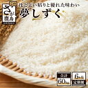 【ふるさと納税】【6か月定期便】佐賀県産 夢しずく 精米 白米 10kg×6回 合計60kg 《6ヶ月連続 毎月お届け》定期便 6回発送 毎月1回 米 お米 令和6年産 国産 九州産 鹿島市 送料無料 J-7