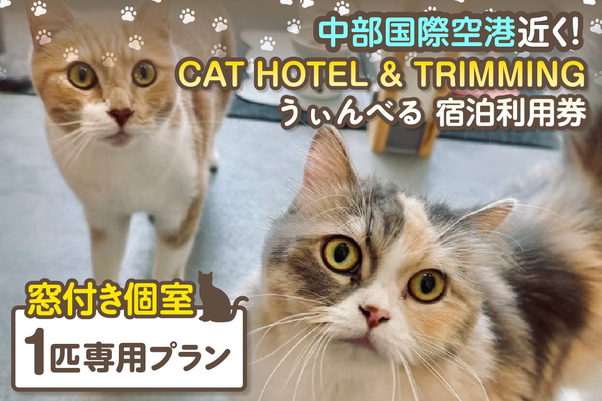 CAT HOTEL & TRIMMING　うぃんべる　宿泊利用券　1匹専用プラン│ペットホテル ペットと泊まれる 宿泊券 猫 キャット 猫ホテル 見守りサービス 猫専用ルーム 窓付き個室 見守りカメラ