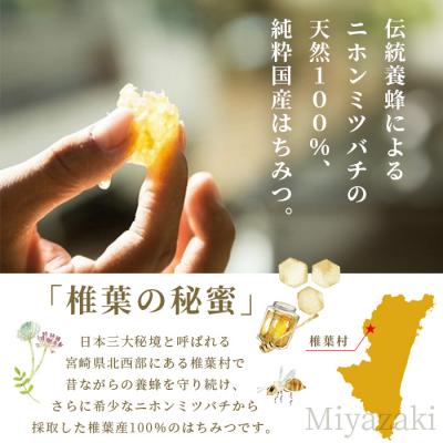 ふるさと納税 椎葉村 【秘境を味わう】椎葉の秘蜜 【50g×2本,150g×2本の計4本】国産天然はちみつ【数量限定】 |  | 02