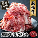 飛騨牛 切り落とし 切落し 700g 和牛 牛肉 訳あり　不揃い すき焼き