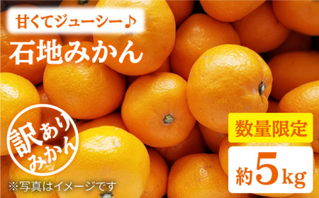 みかん 西海【 訳あり 】 石地みかん 約5kg 西海市 贈答 ギフト 家庭用  ＜中尾果樹園＞ [CEL006]