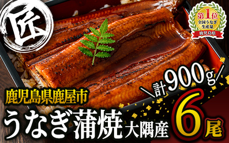 【土用の丑の日対応7/7入金まで】鹿児島県大隅産うなぎ蒲焼6尾（900g） 国産 本格 うなぎ 鰻 蒲焼 鹿児島 2181