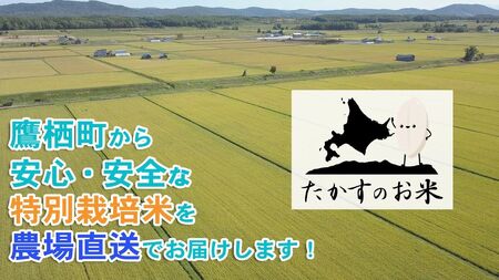 A278　【 令和6年産 】 ななつぼし （ 精 白米 ） 北海道 米 定番の品種 5㎏ 北海道 鷹栖町 たかすのお米 米 コメ こめ ご飯 白米 お米 ななつぼし コメ 白米