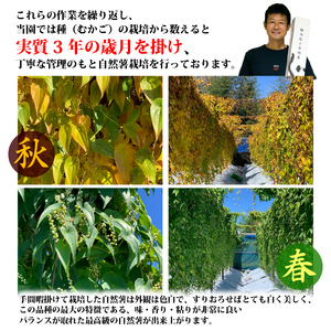 074-3 　【R7年12月上旬からの発送】 丁子屋が選んだ自然薯　台地のご馳走1ｋｇ
