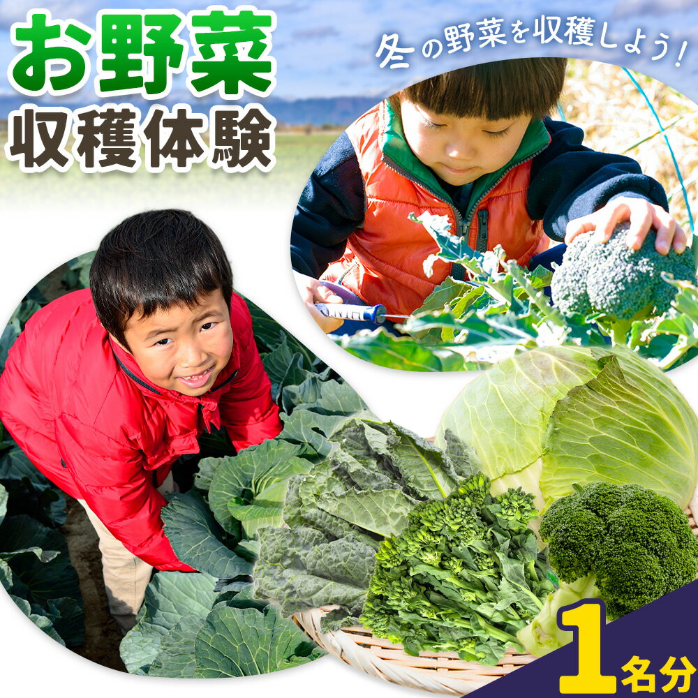 【ふるさと納税】体験 チケット 冬 お野菜 収穫 体験 1名分 株式会社シグマサポート《30日以内に出荷予定(土日祝除く)》三重県 東員町 冬 野菜 冬野菜 収穫 体験 チケット キャベツ ブロッコリー なばな アレッタ 送料無料