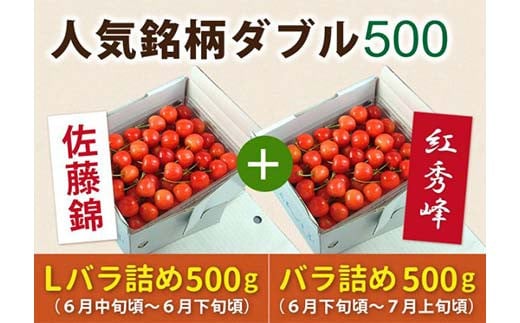 
《先行予約 2025年度発送》【頒布会】さくらんぼ人気銘柄ダブル500(佐藤錦&紅秀峰) FSY-0155
