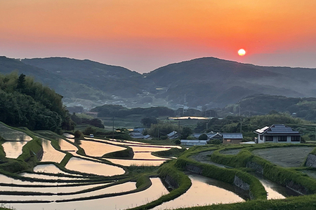 【定期便】淡路島の棚田米　10kg×6回