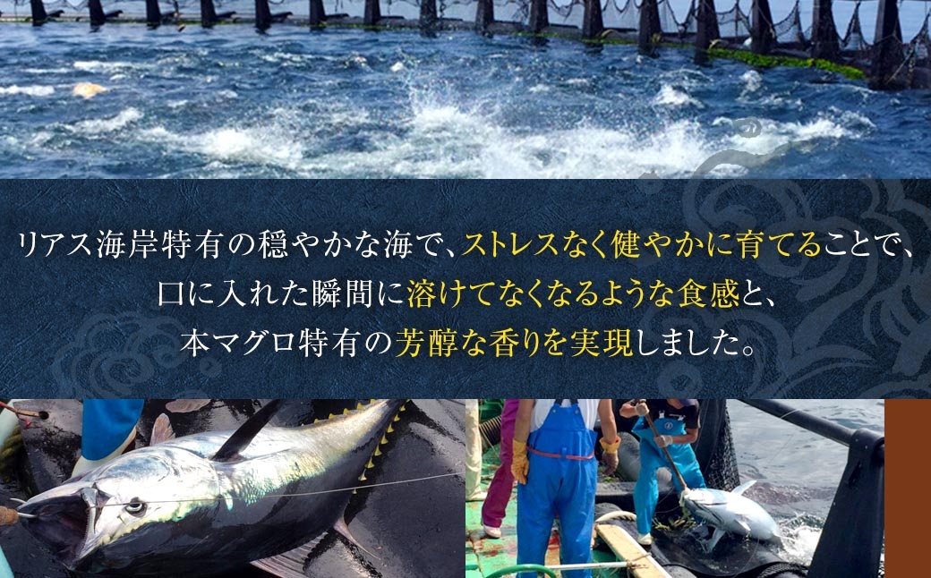 奥山安蔵商店霜降り本鮪みえまぐろ約400g
