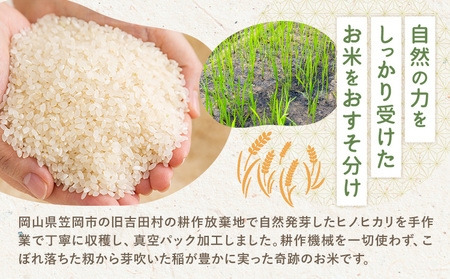 耕作放棄地を耕せ！ おこメール2合 約300g Life3091《30日以内に出荷予定(土日祝を除く)》｜米米米米米米米