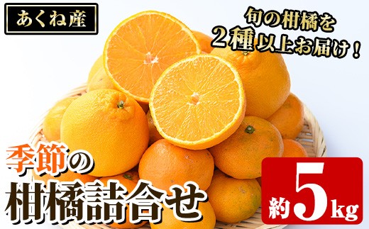 
                  ＜先行予約受付中！2026年12月上旬以降順次発送予定＞竹ん子山の季節の柑橘詰め合わせ(約5kg) 国産 鹿児島県産 阿久根産 柑橘 果物 温州みかん ミカン 蜜柑 ボンタン ぼんたん 文旦 しらぬい しらぬひ 不知火 サワーポメロ フルーツ 果実 期間限定 セット 詰合せ バラエティ 【竹ん子山】akn097-13
                