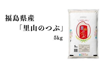 No.3049 【令和7年産 新米先行受付】福島県産米「里山のつぶ」精米 5kg 1袋