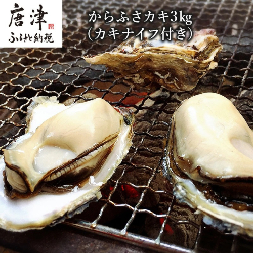 『予約受付』【令和8年3月上旬発送】佐賀県唐津市唐房産 からふさカキ3kg (カキナイフ付き) レシピ 牡蠣 BBQ アウトドア
