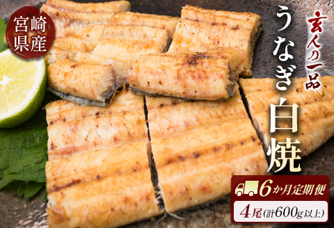 ◇［玄人の一品］うなぎ白焼き 4尾×6ヶ月定期便（150～200g程度/1尾あたり) 宮崎県産鰻 蒲焼タレ付【F132】