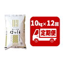 【ふるさと納税】定期便　揖斐郡産 味のいび米はつしも精米10kg×12ヶ月　【定期便・お米】