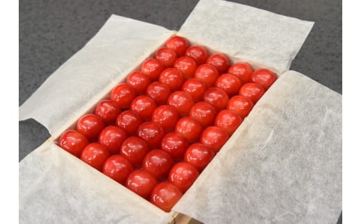 08-10-033　さくらんぼ(佐藤錦)鏡詰め桐箱300g