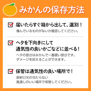 【 先行予約 : 2025年12月下旬発送予定 】 静岡県産 青島 みかん S～2L 約 5kg 果物 国産 フルーツ 柑橘 蜜柑 ミカン ビタミン 静岡県 藤枝市