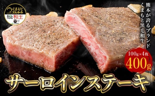 熊本県産 黒毛和牛 サーロイン ステーキ 計400g（100g×4）《90日以内に出荷予定(土日祝除く)》 国産 牛肉
