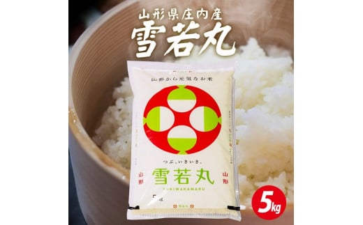 1294R07　庄内産雪若丸5kg（令和7年産米）