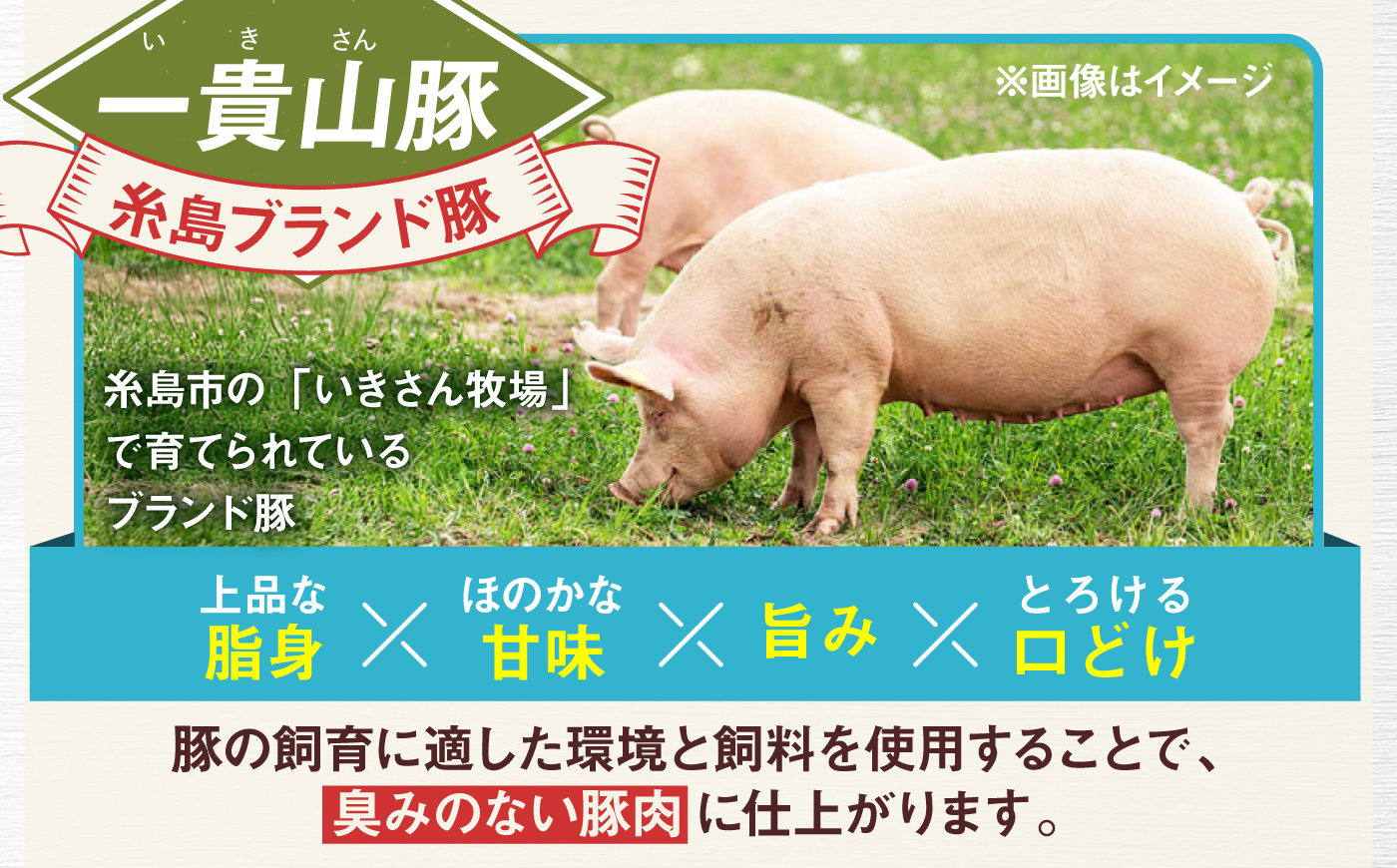 一貴山豚 しゃぶしゃぶ 食べ比べセット スライス3種750g＋つくね200g 糸島市 / いきさん牧場 豚肉 セット 冷凍 [AGB061]