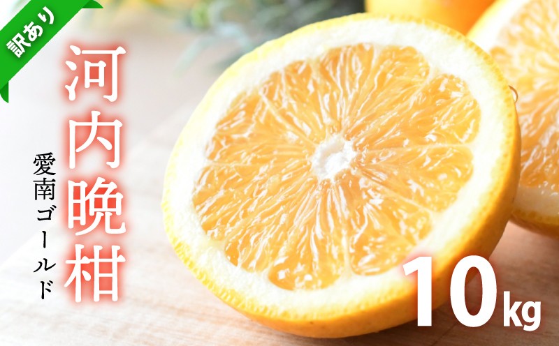 
                  【先行予約：4月下旬～発送】訳あり 河内晩柑 10kg ひなたのみかん みかん 蜜柑 オレンジ 温州みかん グレープフルーツ 愛南ゴールド 文旦 ポンカン デコポン 不知火 愛媛みかん レモン ブラッドオレンジ ネーブル 果物 くだもの 果実 柑橘 かんきつ mikan フルーツ 果汁 ゼリー ジュース 甘い ジューシー ビタミン 美容 健康 特産品 国産 産直 愛媛県 愛南町
                