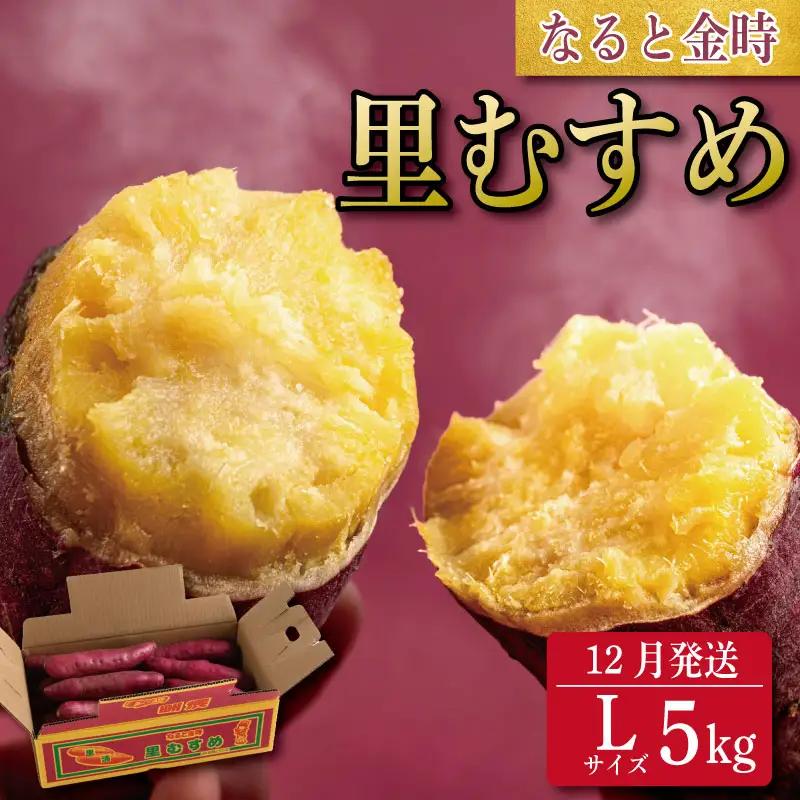 なると金時 Lサイズ 5kg 12月発送 さつまいも なると金時