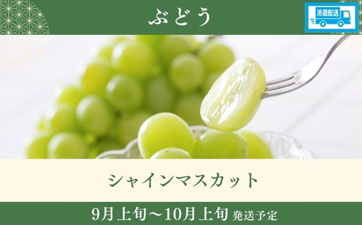 福島のフルーツ定期便_EH-2【2027年発送　先行予約】No.3501
