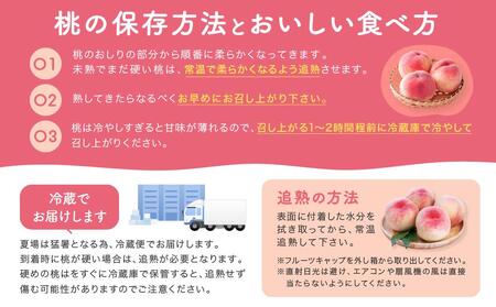 【産直・人気の特産品】和歌山の桃　約4kg・秀選品★2024年度発送★