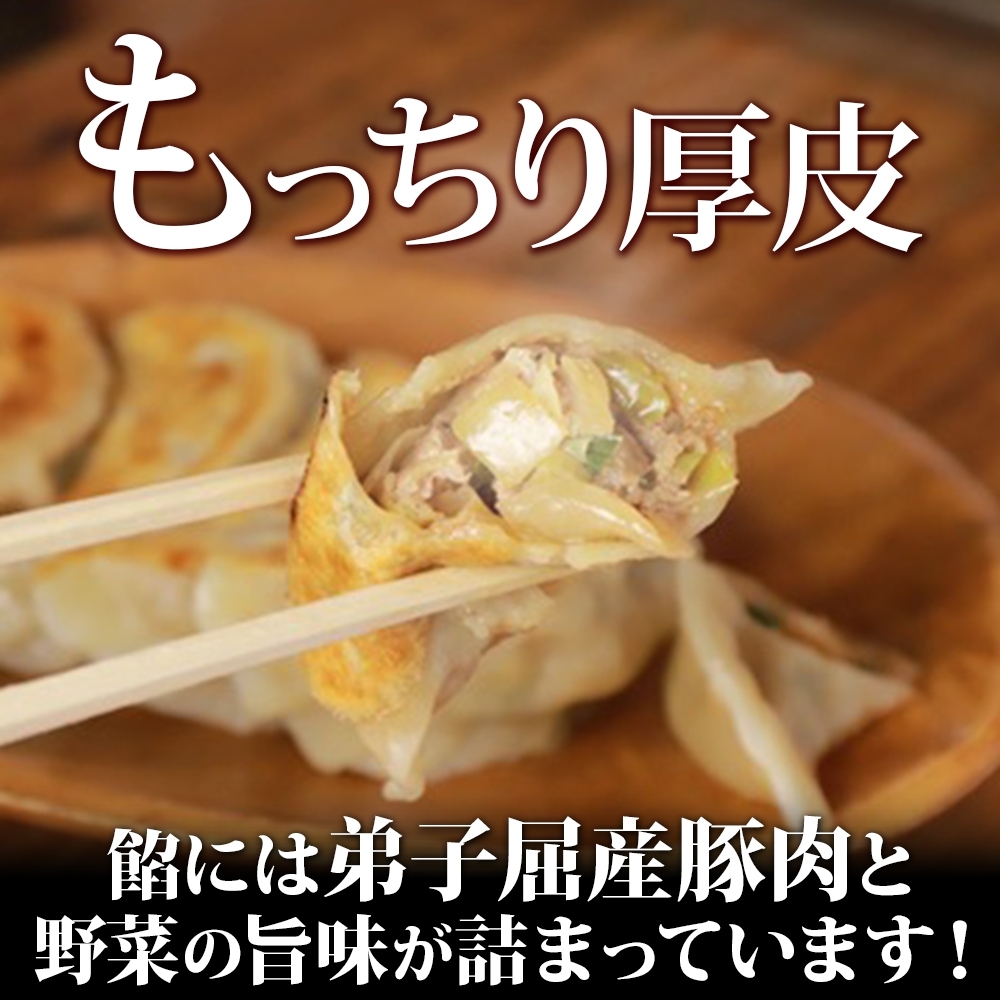 1810. よだれ餃子 10個入 2パック 計20個 餃子 ぎょうざ ギョウザ ギョーザ 生餃子 冷凍 中華 豚 肉 野菜 厚皮 焼き 惣菜 おかず 昇龍軒 送料無料 北海道 弟子屈町 8000円_イ