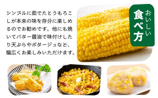 【先行予約2025年1月-5月配送】1番遅くて1番早い⁉ プレミアムヤングコーンとスイートコーンのよくばり定期便！！朝採れを皮付きのままお届け！！