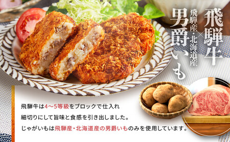 【定期便全3回】飛騨牛コロッケ食べ比べ定期便（通常・ピリ辛・プレミアム）| 大きめ 人気 食べ比べ 飛騨牛 コロッケ レンジ 揚げ調理済 飛騨高山 ひだコロッケ本舗 FU100