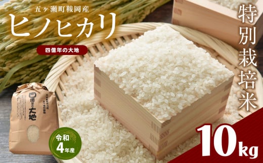 特別栽培米  四億年の大地（令和4年産ヒノヒカリ） 10kg