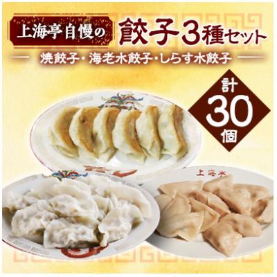 ふるさと納税 横須賀市 【テレビ番組で紹介!】「上海亭」の焼餃子・海老水餃子・しらす水餃子の3種　30個セット 冷凍 国産