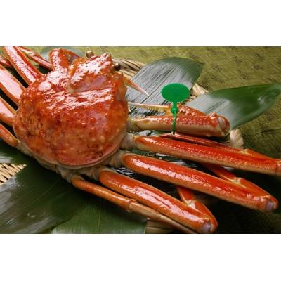 ふるさと納税 京丹後市 京丹後市産 茹で間人蟹【厳選】大サイズtaizakani900 |  | 02