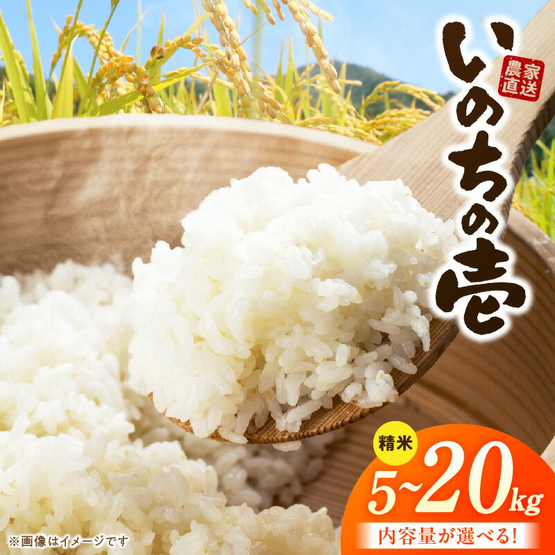 【ふるさと納税】R7年産 「いのちの壱」＜農家直送＞ 希少米 選べる 容量 5kg ～ 20kg 米 精米 白米 ご飯 国産 産地直送 甘い 粘り強い もちもち お取り寄せ こだわり米 愛知県 小牧市 送料無料