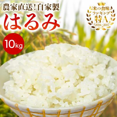 ふるさと納税 伊勢原市 [令和8年産新米 10月下旬から出荷]伊勢原産精米10kg はるみ 農家直送!加藤さんちの米