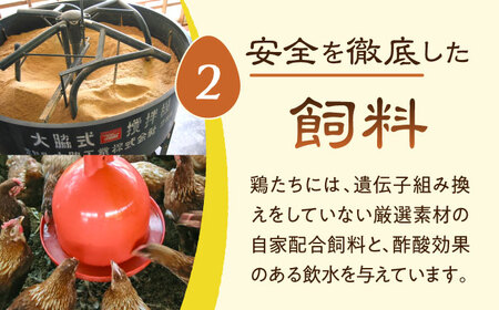 放し飼い 自然卵 「歩荷」 箱60個入 / 卵 たまご 鶏卵 玉子 平飼い / 稲沢市 / 平飼い自然卵歩荷 [BMBM003]