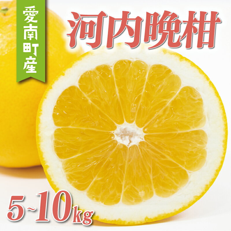【ふるさと納税】 数量限定 先行予約 選べる 内容量 河内晩柑 5kg 7kg 8kg 10kg 訳あり 贈答用 大玉 4L 以上 期間限定 わけあり 愛媛 みかん mikan 蜜柑 ミカン 愛南ゴールド 国産 特産品 ギフト プレゼント お中元 果物 柑橘 おいしい 甘い 前田ファーム 愛南町 愛媛県