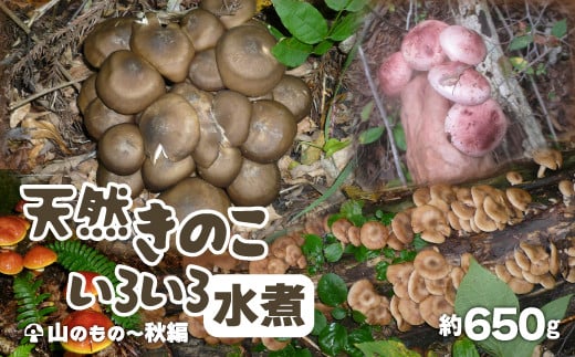 
            【期間・数量限定　先行受付】天然きのこいろいろ水煮 60P3220 / 東北 秋田 大館 大館市 山田 自然 さくらしめじ サクラシメジ さわもだし ほうきたけ サワモダシ ホウキタケ きのこ  キノコ セット 水煮
          