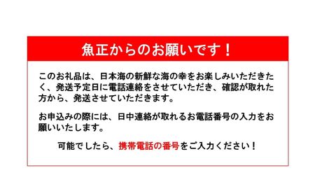 【2026年8月以降発送】天然のどくろ (アカムツ) 6尾 約2kg 先行予約 鮮度抜群！水揚げ直後に発送 高級魚 生 刺身 煮付け 下処理可能 魚正 日本海 刺身 ノドグロ のどぐろ 赤ムツ