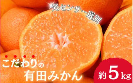 【2025年11月発送予約分】＼光センサー選別／農家直送 こだわりの有田みかん 約5kg＋250g(傷み補償分) 【ご家庭用】【11月発送】 ※北海道・沖縄・離島配送不可【nuk160-11B】