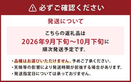 【9月発送分】【家計応援】【数量限定】梨 7.0kg+1玉  豊水 20世紀 新高 新興 果物 フルーツ