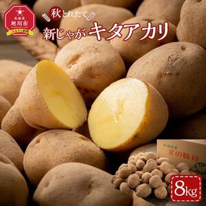 【先行予約】秋とれたて 新じゃが キタアカリ 8kg（2026年10月発送開始予定）【 じゃがいも いも イモ 芋 野菜 産地直送 旬 お取り寄せ 旭川市 北海道 】 _03813