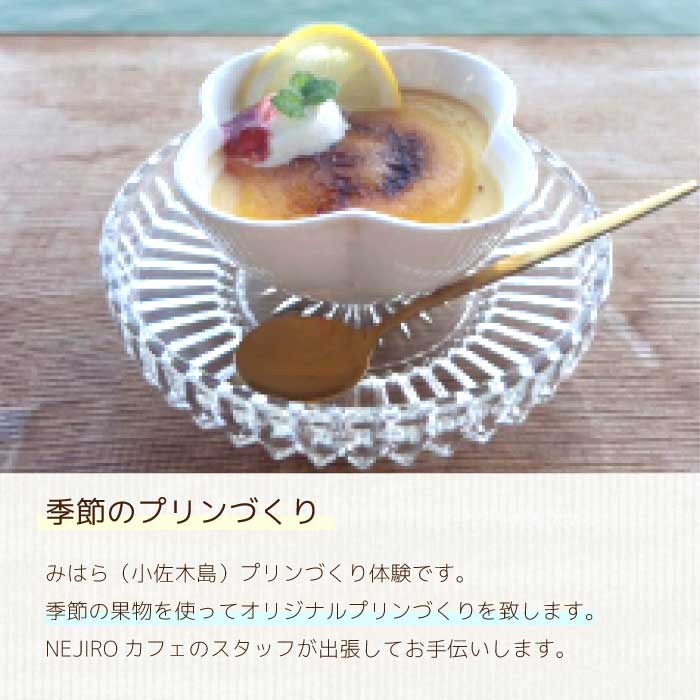 【体験チケット】小佐木島ゆっくり滞在みはらプリンづくり体験ツアー 1名様分 2025年7月13日 食育体験 瀬戸内海 離島 自然 ランチ付き サウナ 休暇 島暮らし 季節の果物 オリジナル 非日常 特