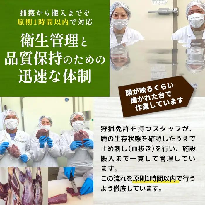 鹿肉 ミンチ 500g 鹿 シカ肉 ひき肉 挽肉 冷凍 ハンバーグ ジビエ ジビエ料理 -117