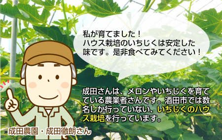 SA2543　ハウス栽培 いちじく　約2.4kg(300g×4パック入 2箱)