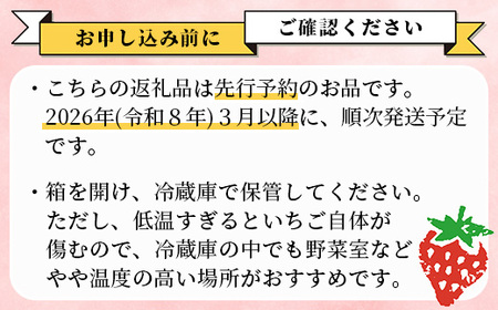 熊本県産 いちご ゆうべに  2kg (250g×8パック)【2027年出荷分】 イチゴ 果物 フルーツ 熊本県 多良木町 農園直送 107-0502
