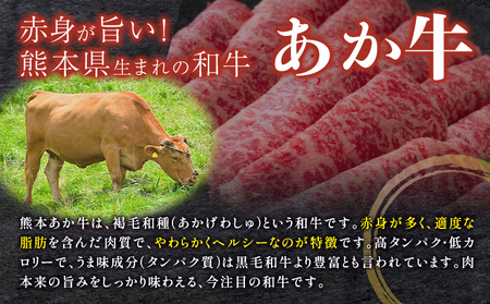 あか牛 サーロイン肉 1kg・馬刺し 200g 食べ比べセット 計1.2kg 合同会社たべたせいか《30日以内に出荷予定(土日祝除く)》牛肉 和牛 ステーキ用サーロイン肉 サーロイン 馬肉 赤身 霜降